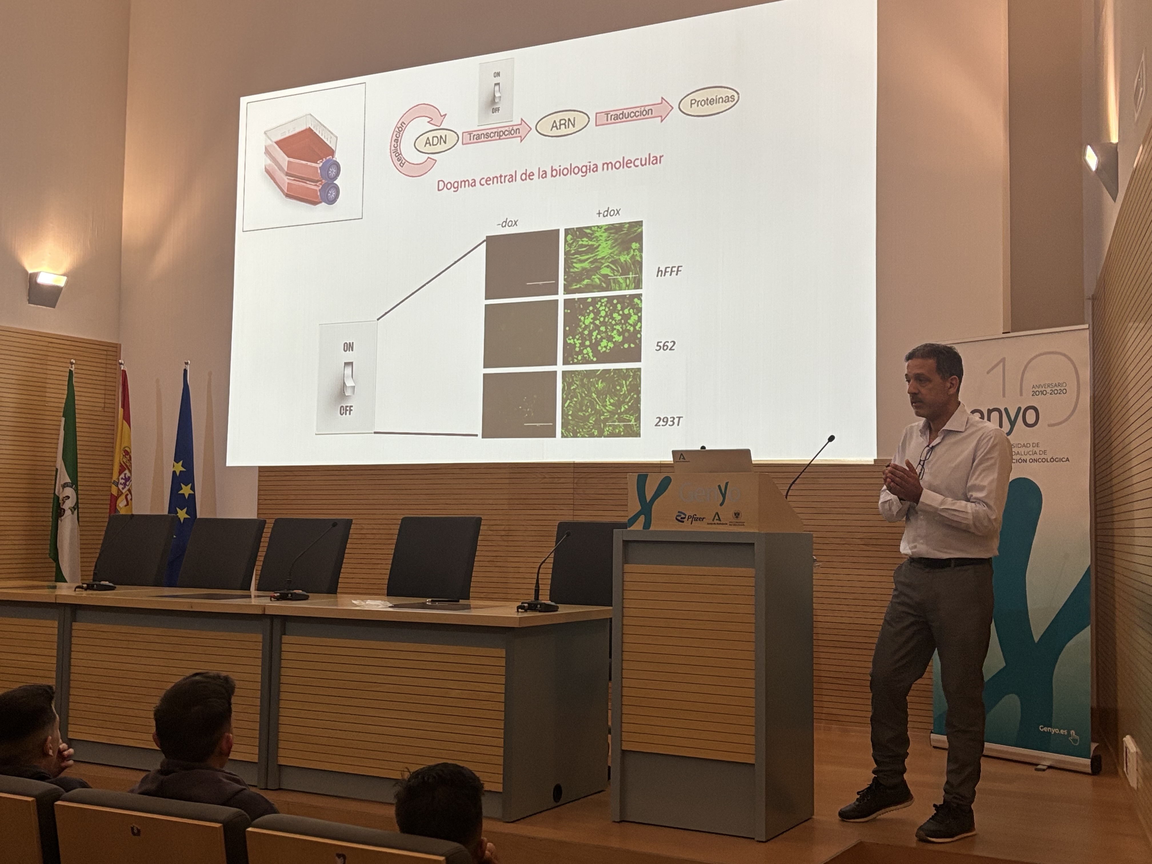 Pilar González: «Bioinformatics approaches for understanding the role of DGCR8-mediated interferon response in 22q deletion syndrome»