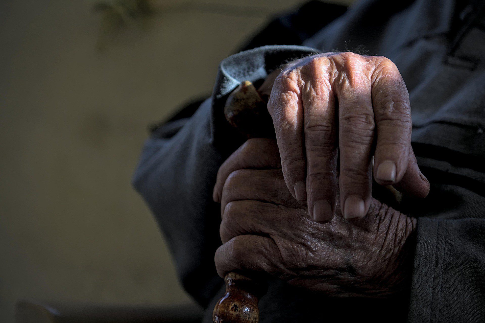 A new study suggests that ageing begins in the early stages of embryonic development, and not just in adulthood. A new study suggests that ageing begins in the early stages of embryonic development, and not just in adulthood.