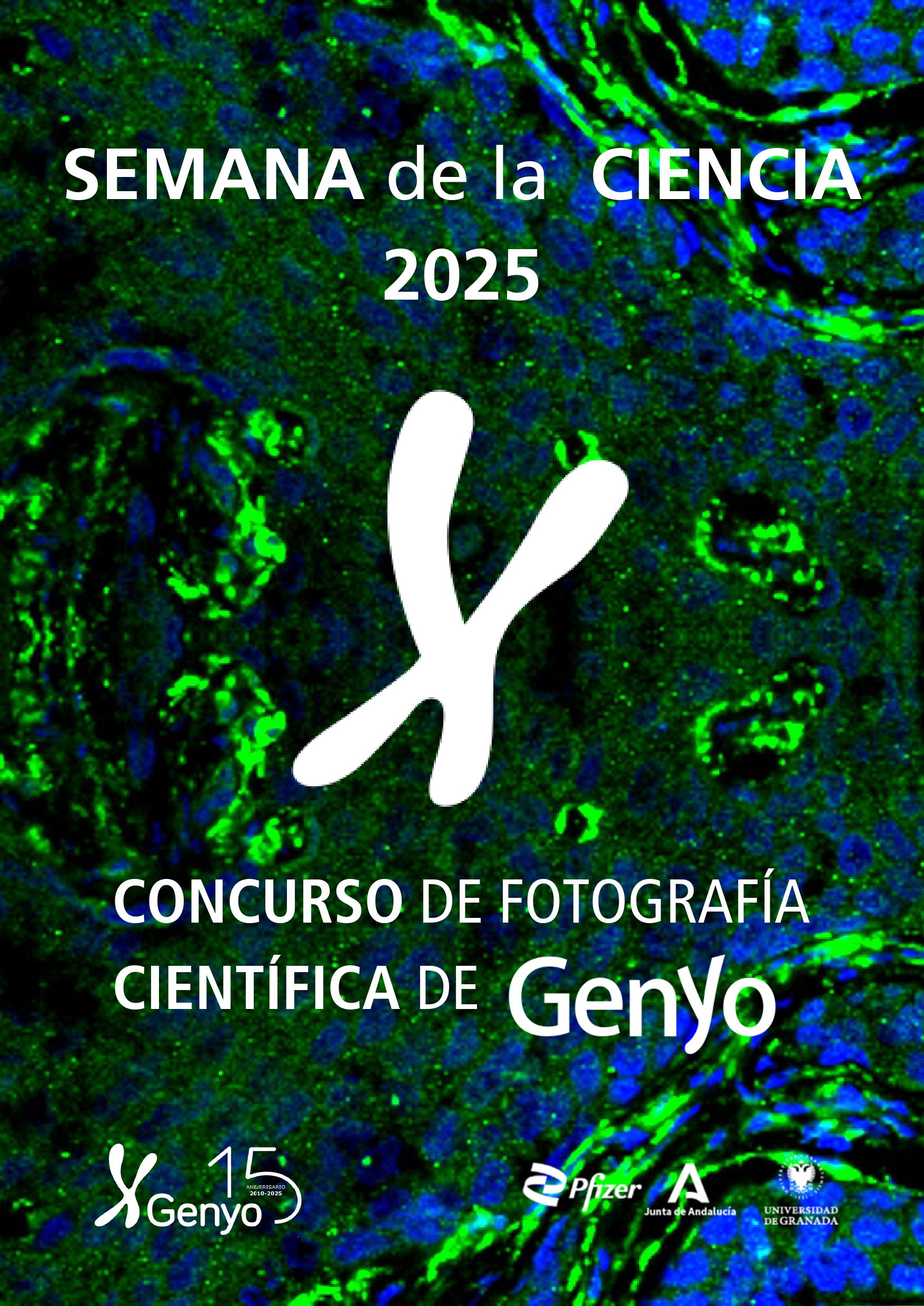 Semana de la Ciencia 2025: Concurso de Fotografía Científica
