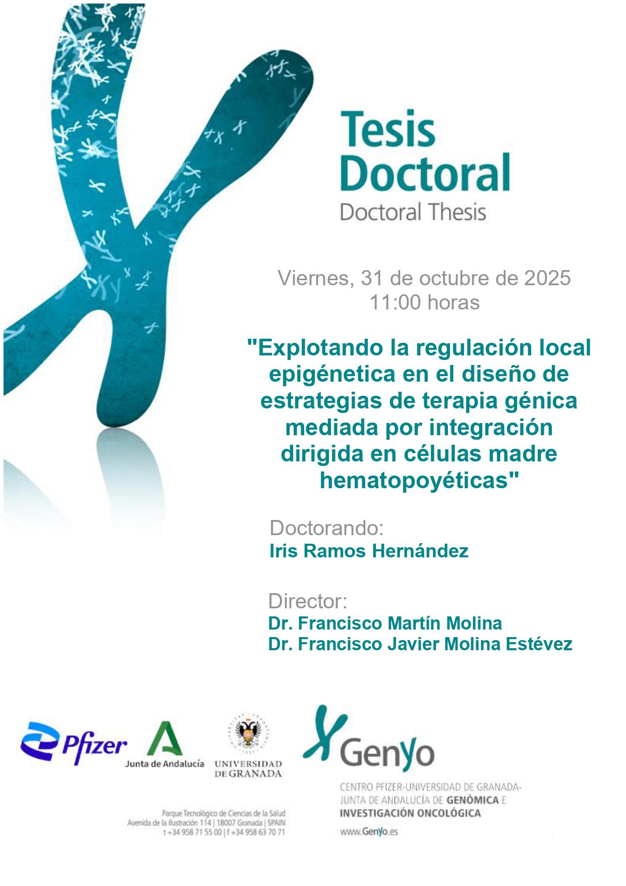 Iris Ramos: «Explotando la regulación local epigénetica en el diseño de estrategias de terapia génica mediada por integración dirigida en células madre hematopoyéticas»