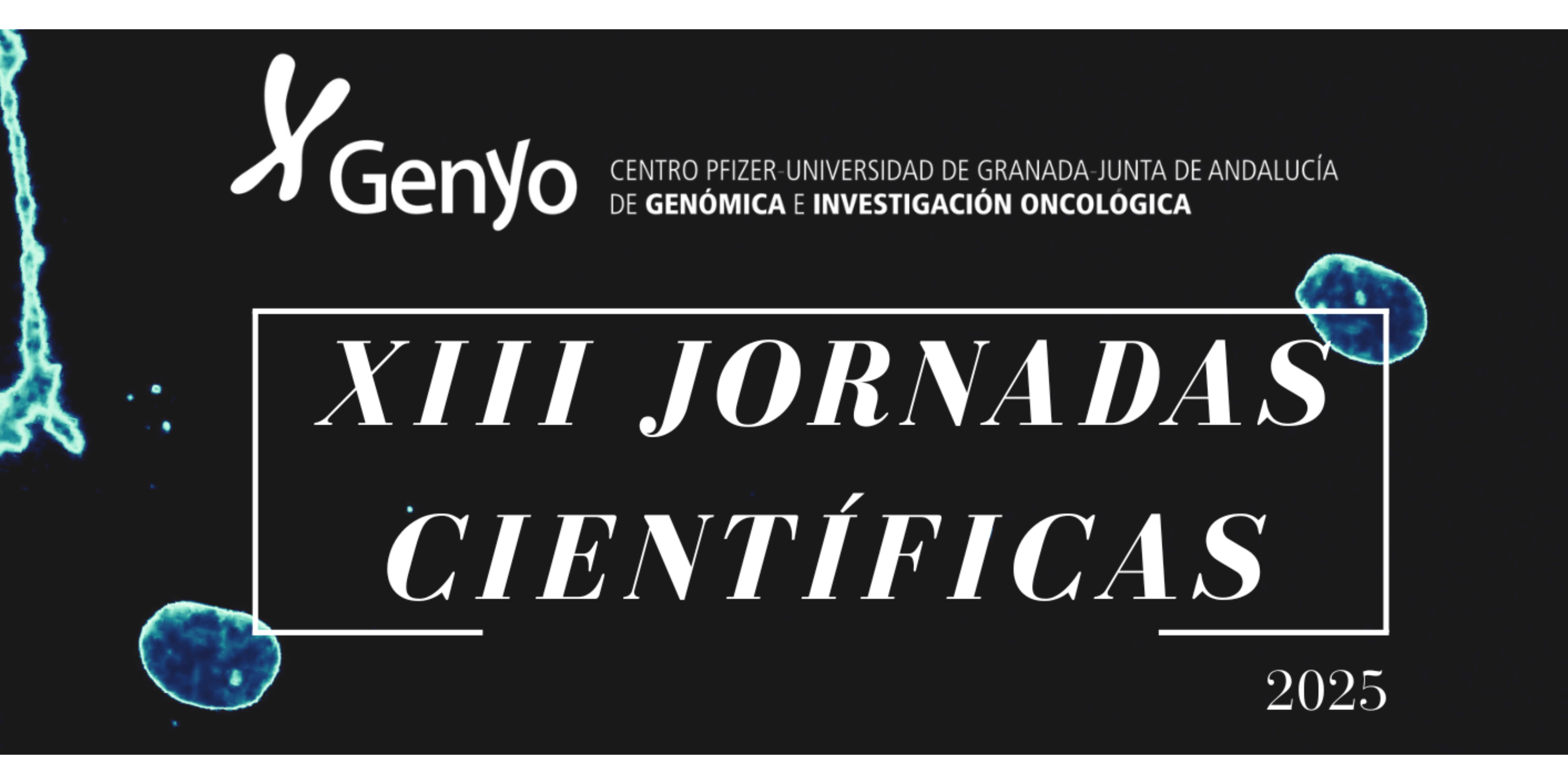 XIII Jornadas Científicas