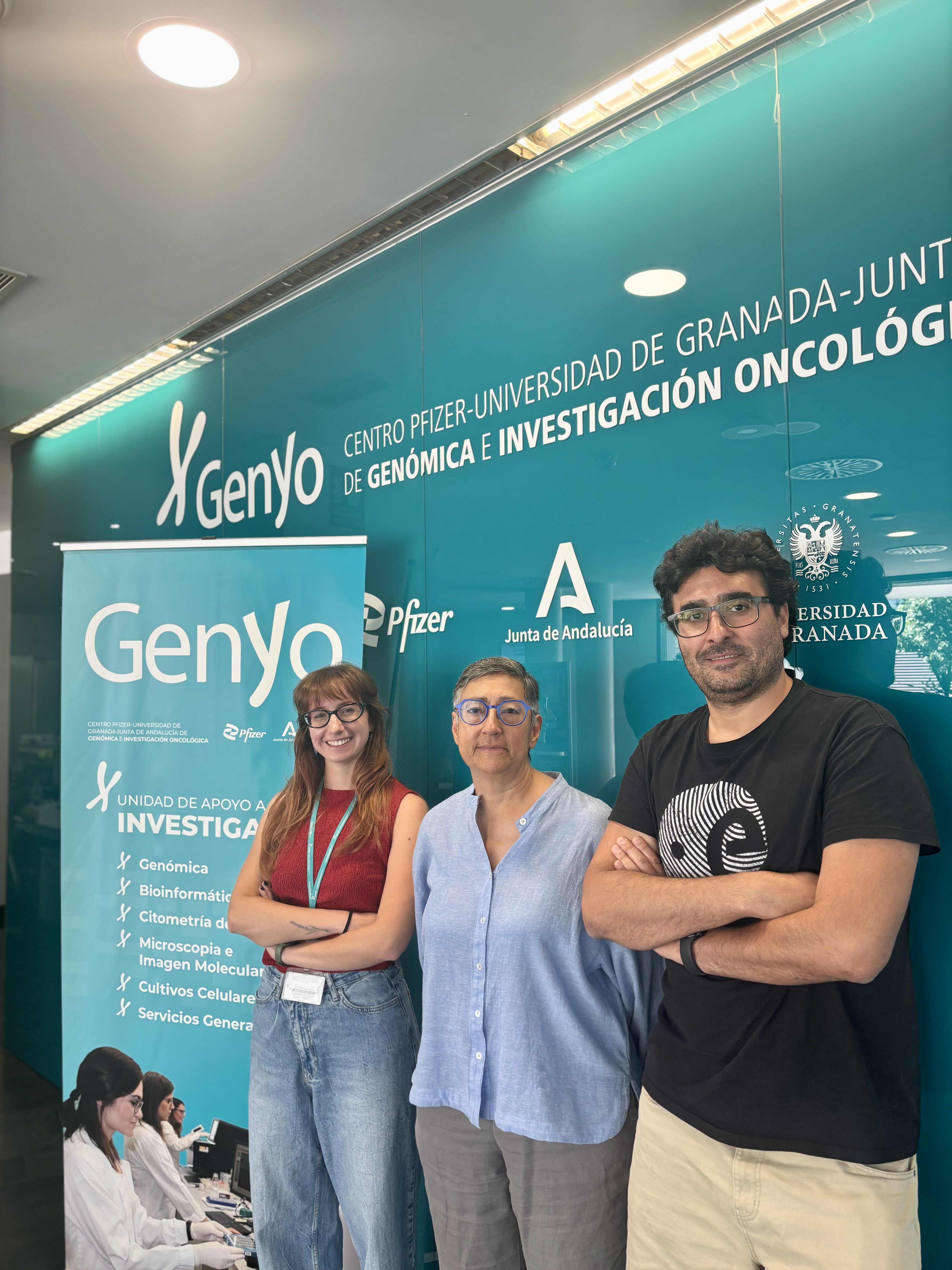 Investigadores de GENyO publican un estudio que mejora la selección de modelos preclínicos para investigar el lupus humano Investigadores de GENyO publican un estudio que mejora la selección de modelos preclínicos para investigar el lupus humano