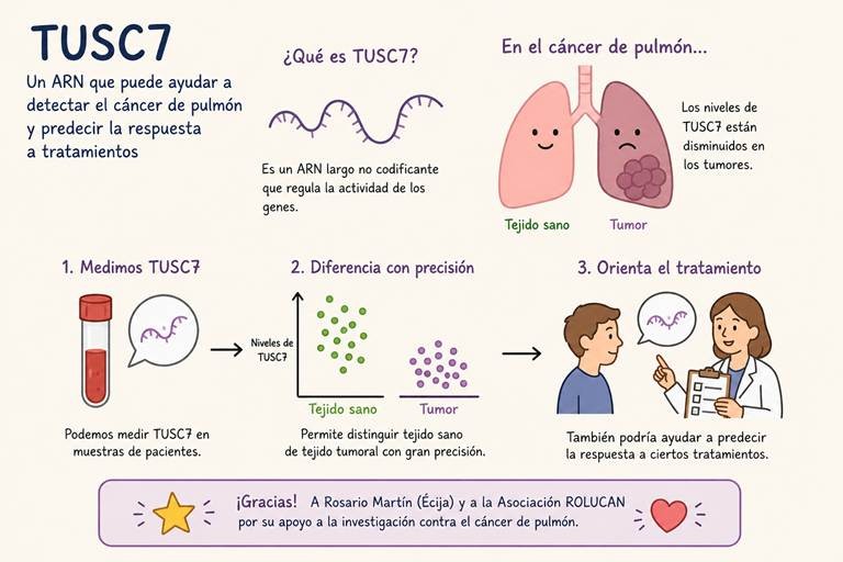 Identifican un biomarcador que ayuda a detectar el cáncer de pulmón con precisión y ofrece pistas sobre la posible respuesta al tratamiento